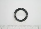 3702493M1 Oil Seal