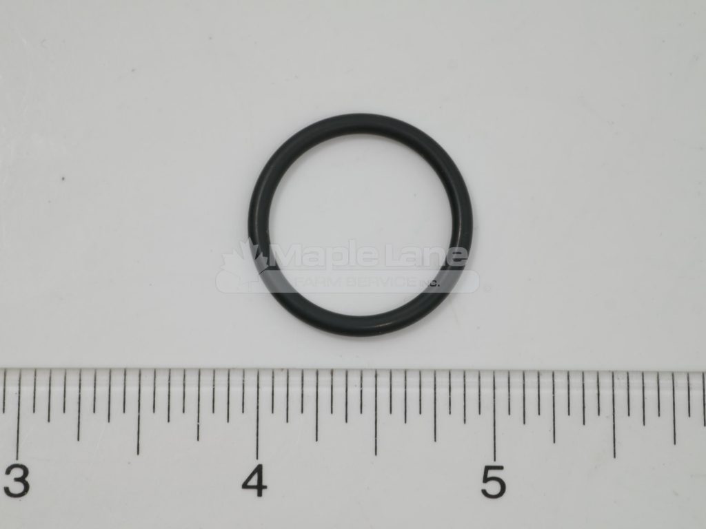 72313445 O-Ring 20.3 x 2.4