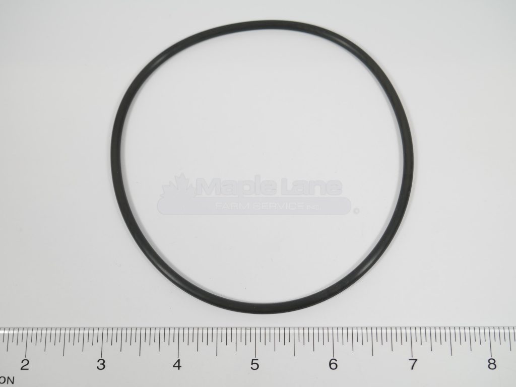 24260700 O-Ring 101.19x3