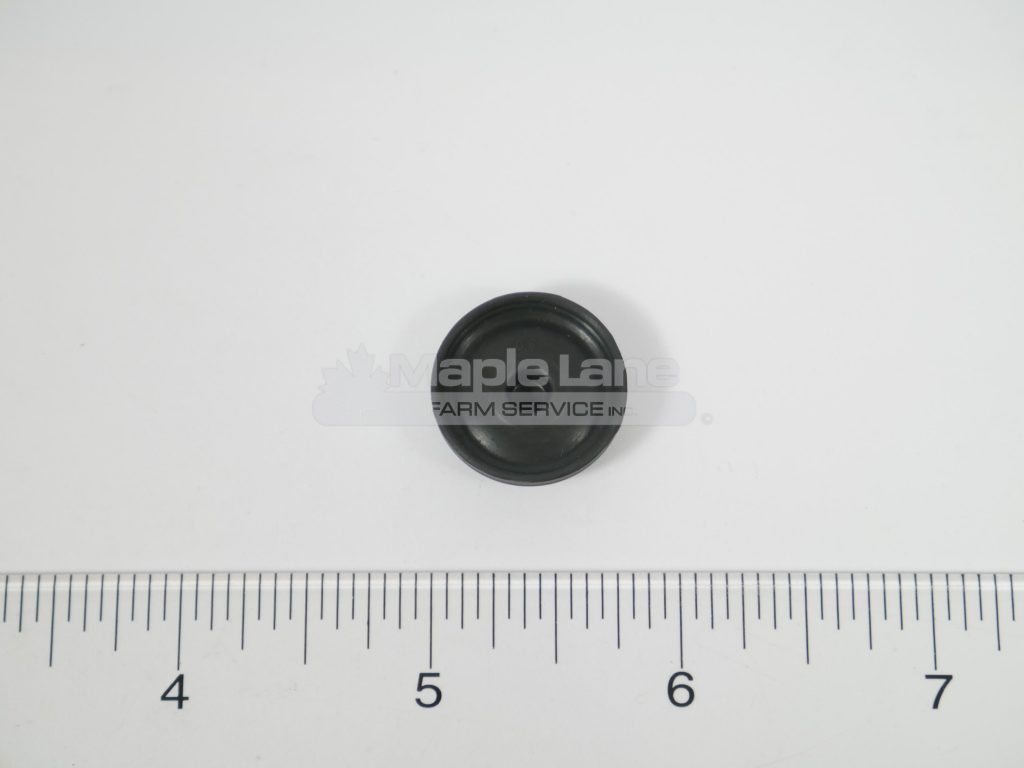 24265500 Diaphram