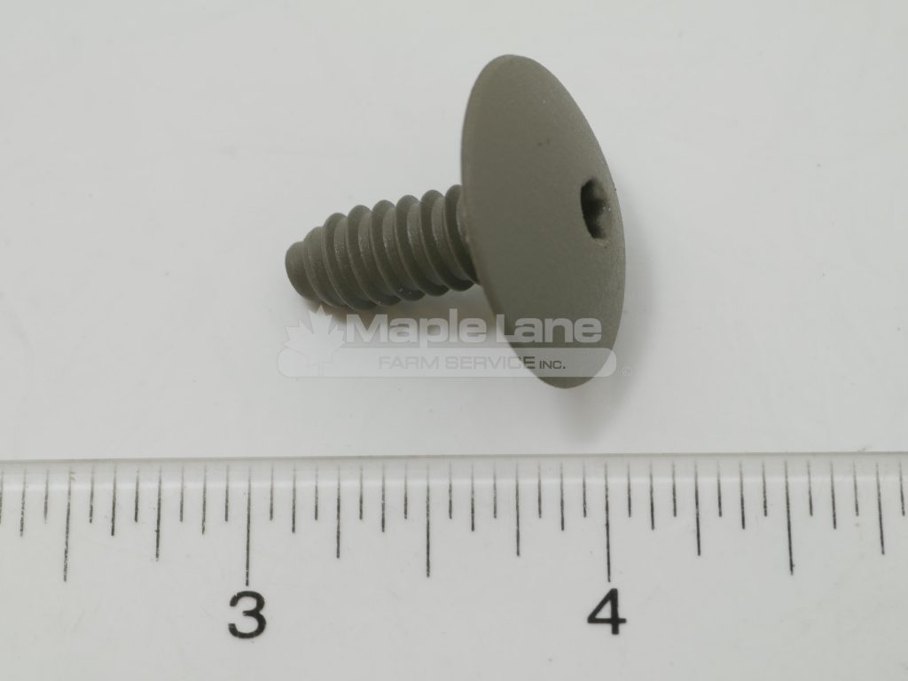 72476445 Gray Cap Screw