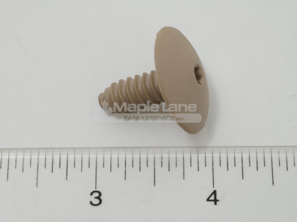72476838 Plastic Beige Screw