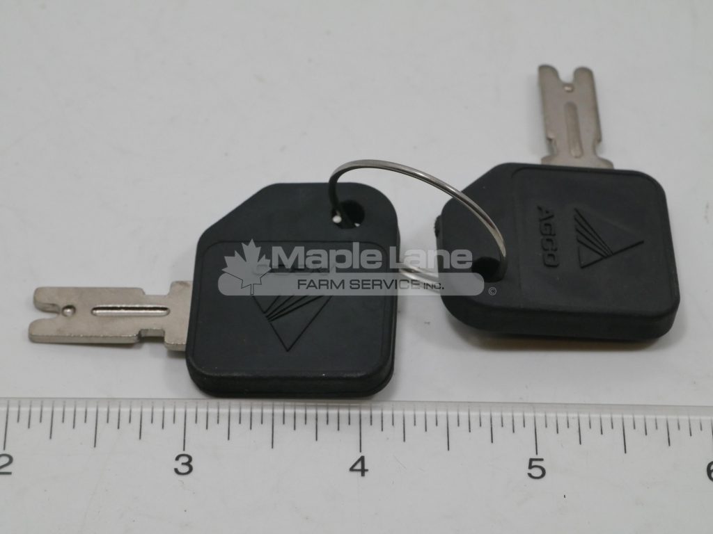 71377109 Two Ignition Keys