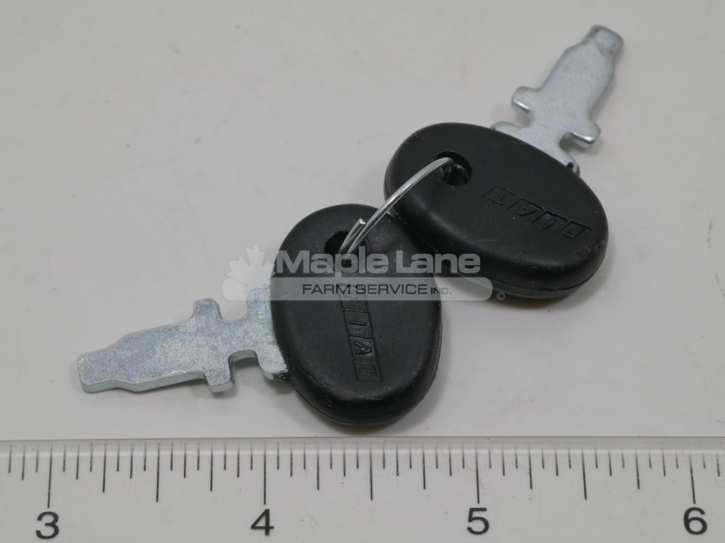 72090051V Two Keys