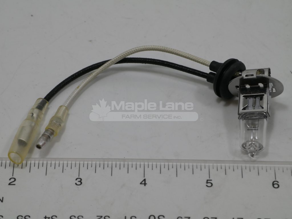 7066599M1 12v Light Bulb