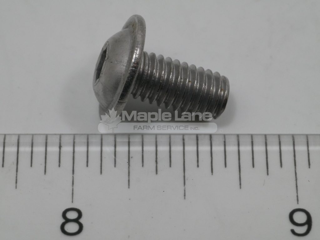 72482445 Oval Head Screw