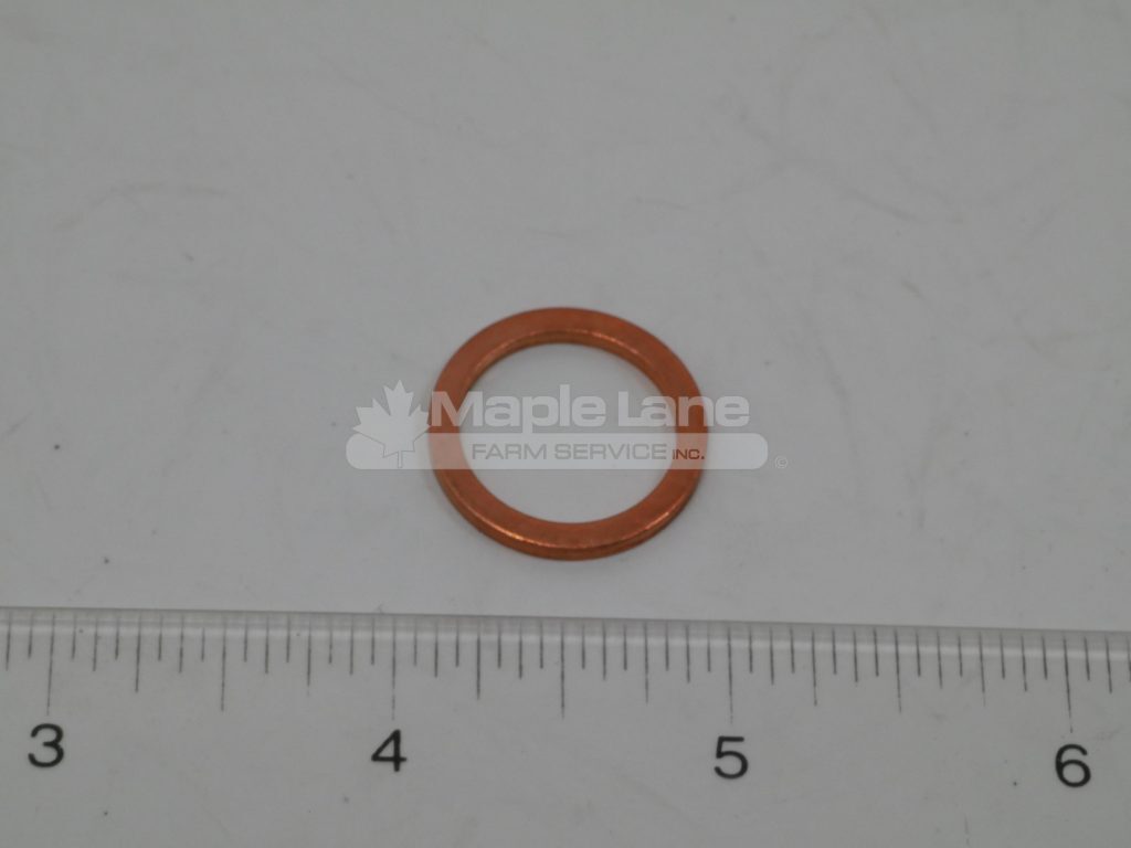 700712393 Plated Washer