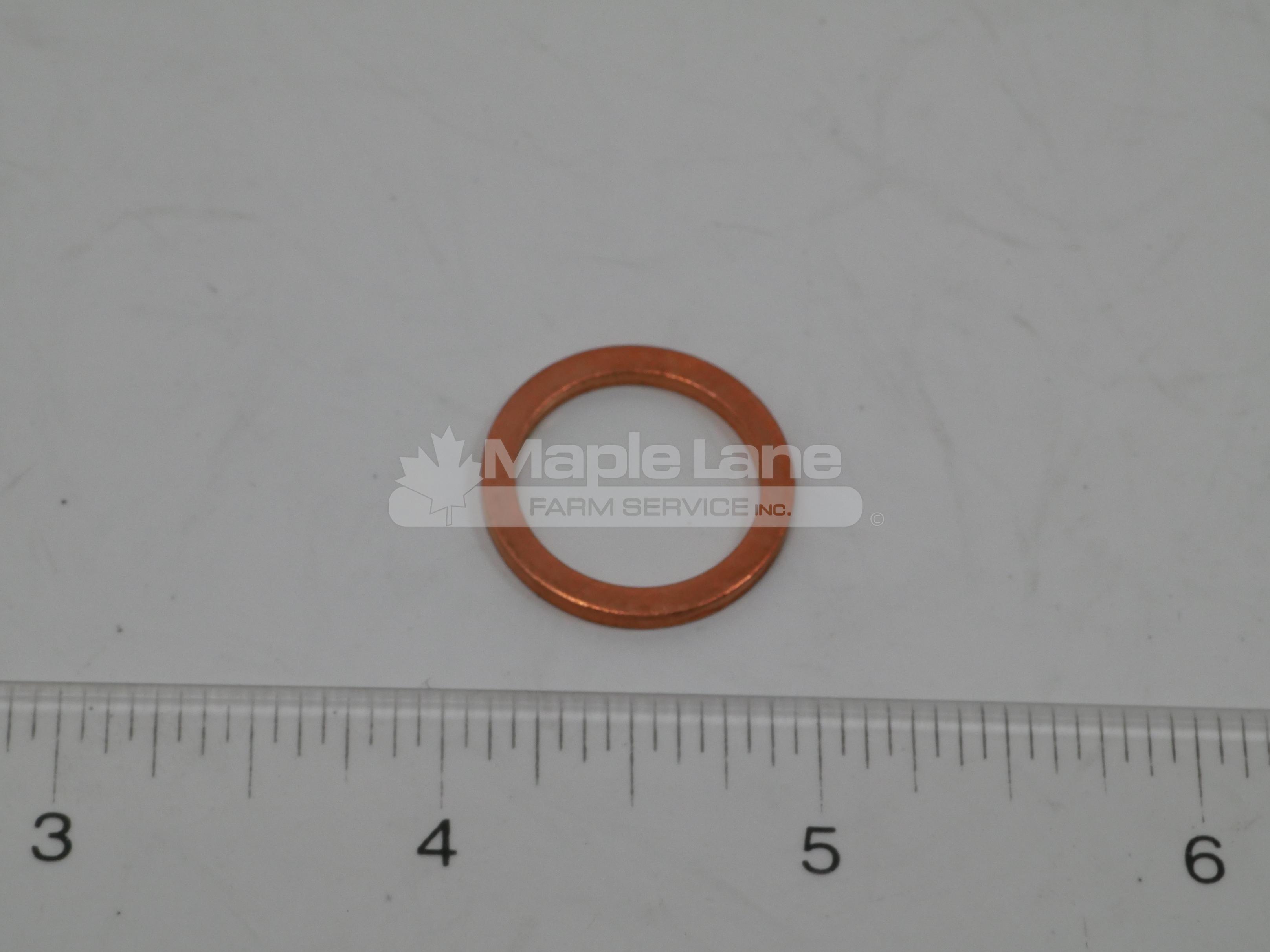 700712393 Plated Washer
