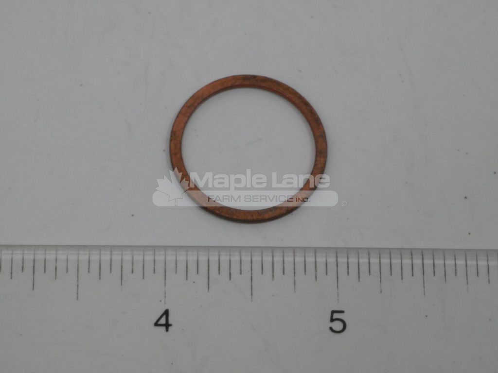 72376031 Sealing Washer