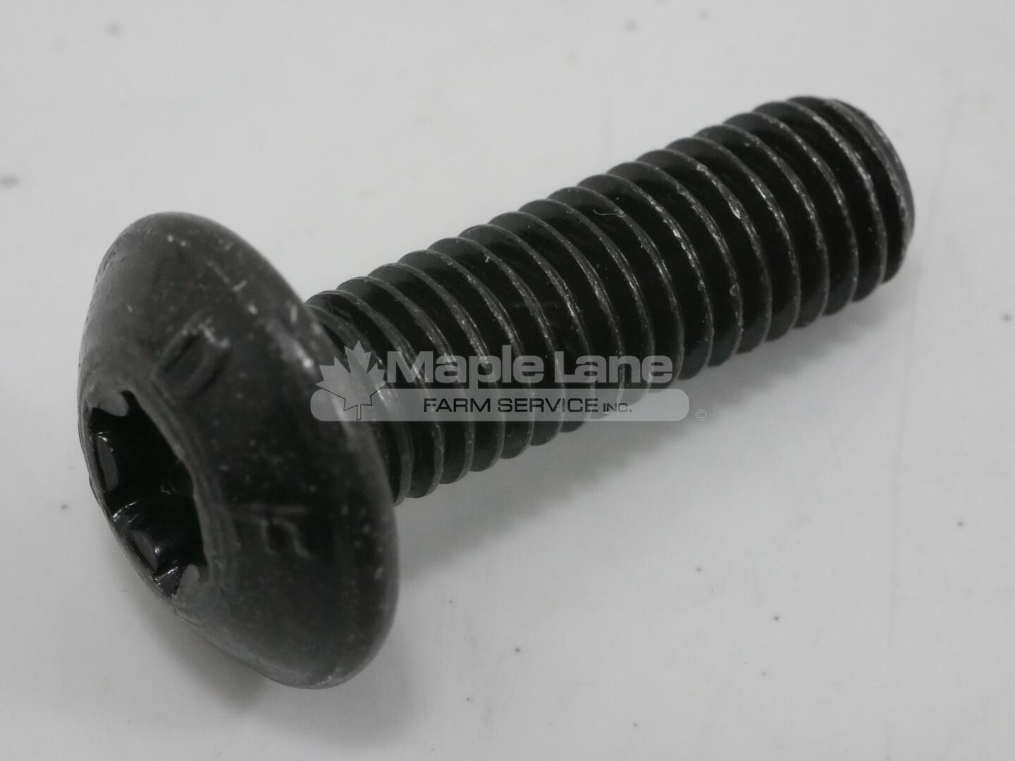 3010910X1 Pan Head Screw