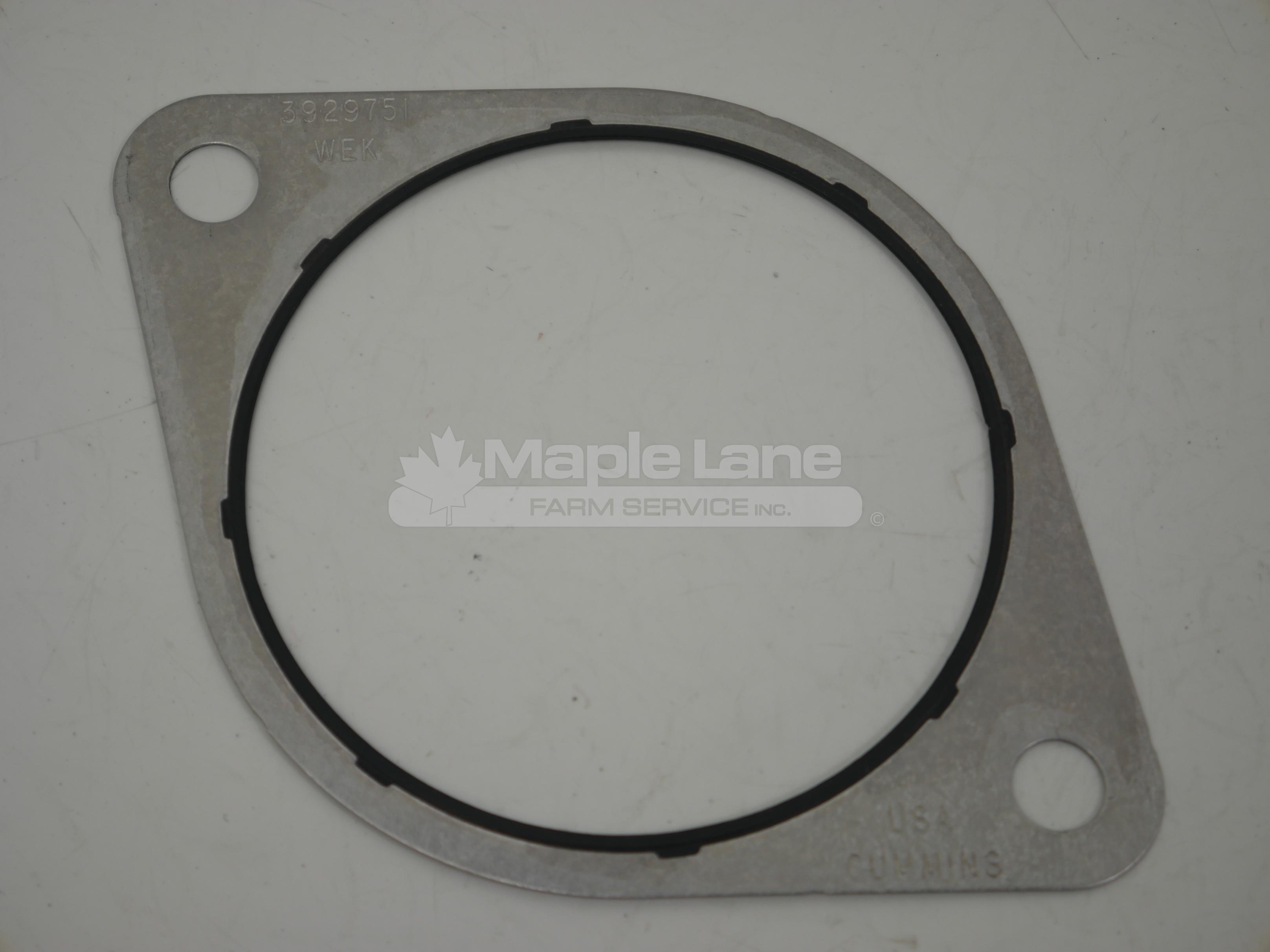 3929751 Accessory Drive Gasket