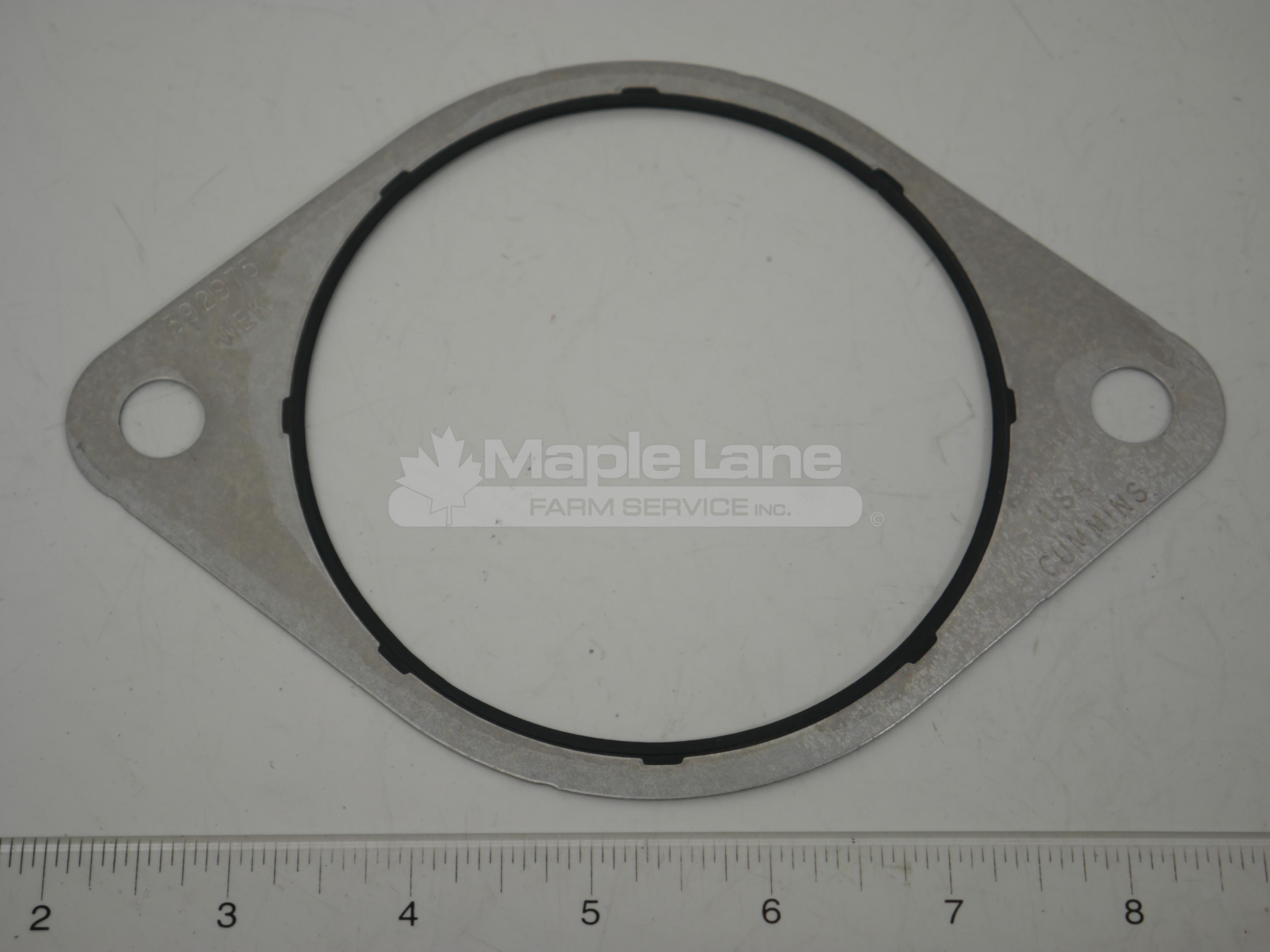 3929751 Accessory Drive Gasket