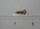 72315786 Self Tapping Screw