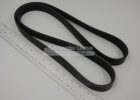 72317844 V-Belt