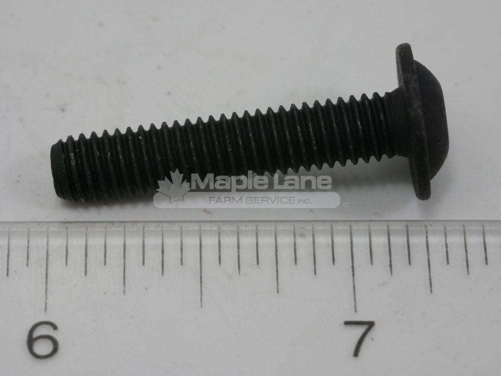 72492416 Oval Head Screw DIN 7381