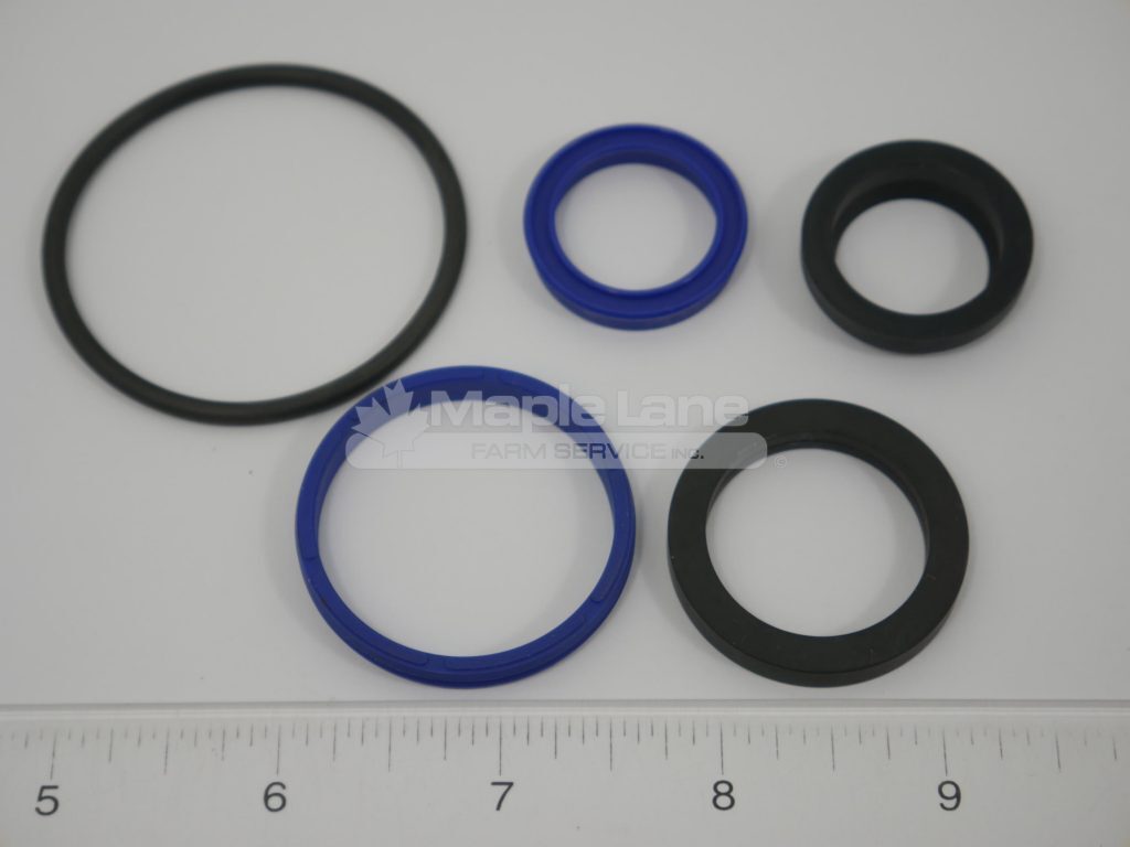 750248 Hydraulic Cylinder Seal Kit