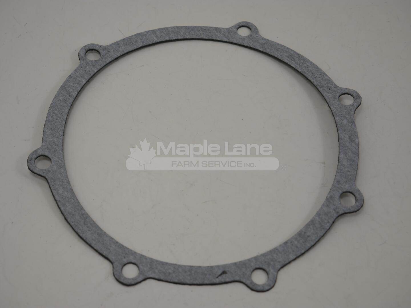 4223125M1 Gasket