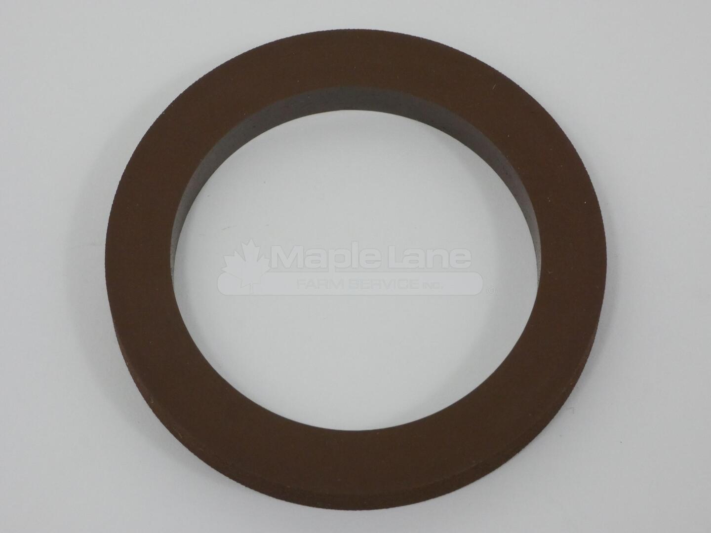 AG009979 Viton Gasket