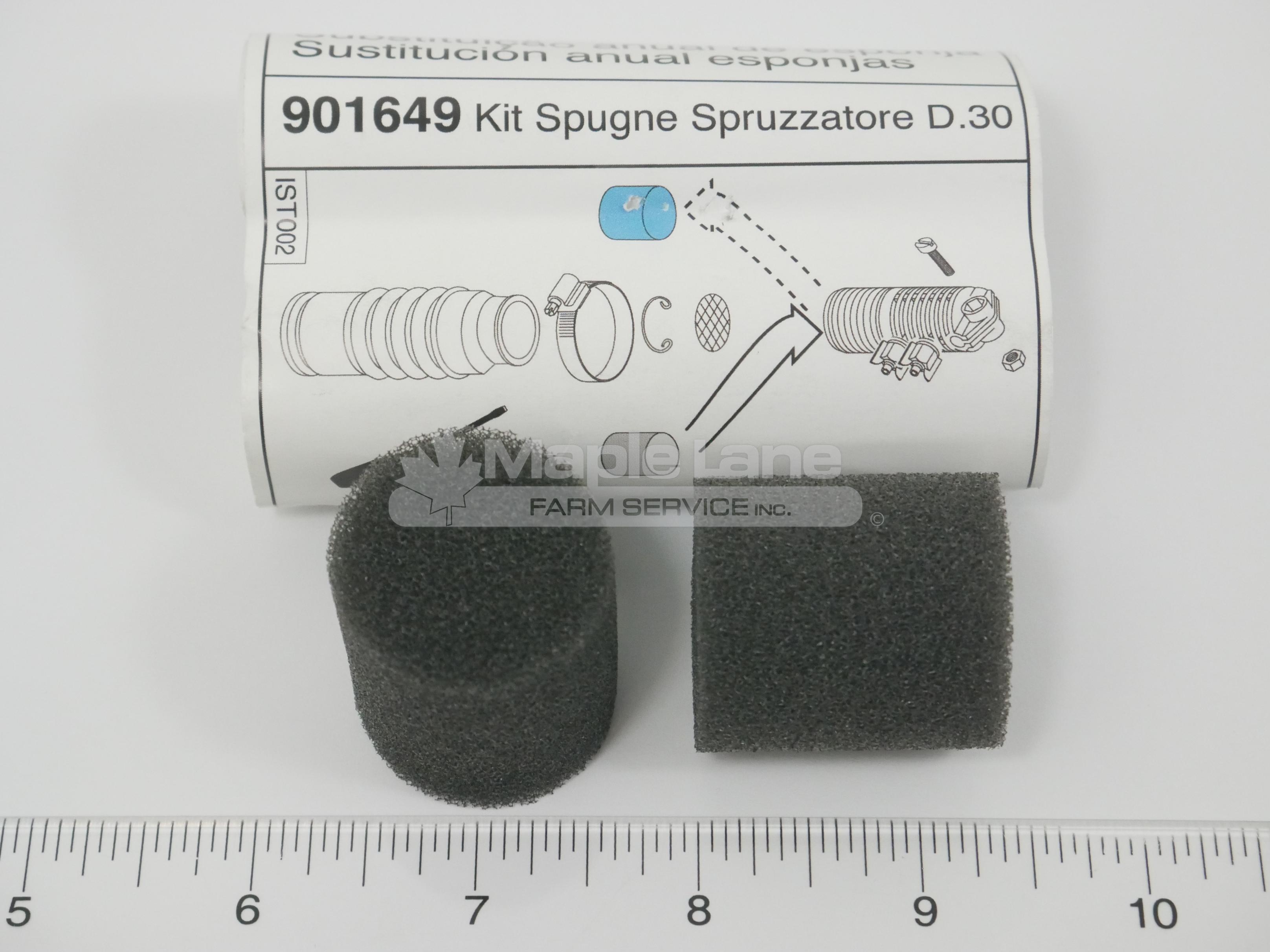AG725984 Sponge Kit