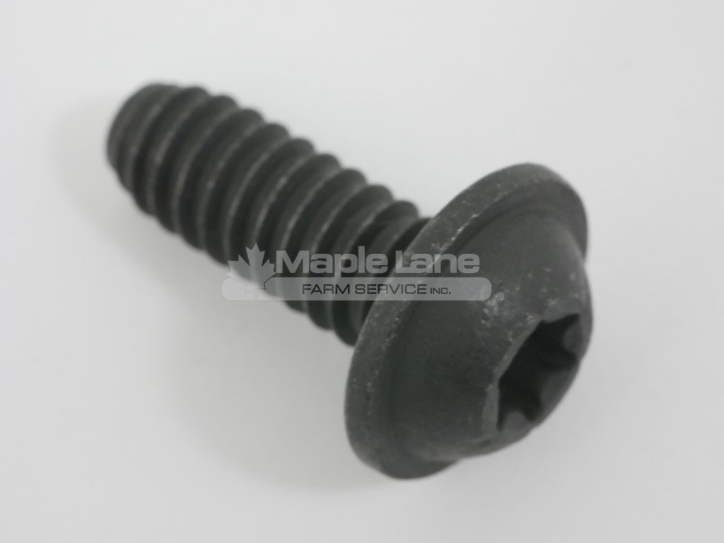 72429238 Oval Head Screw