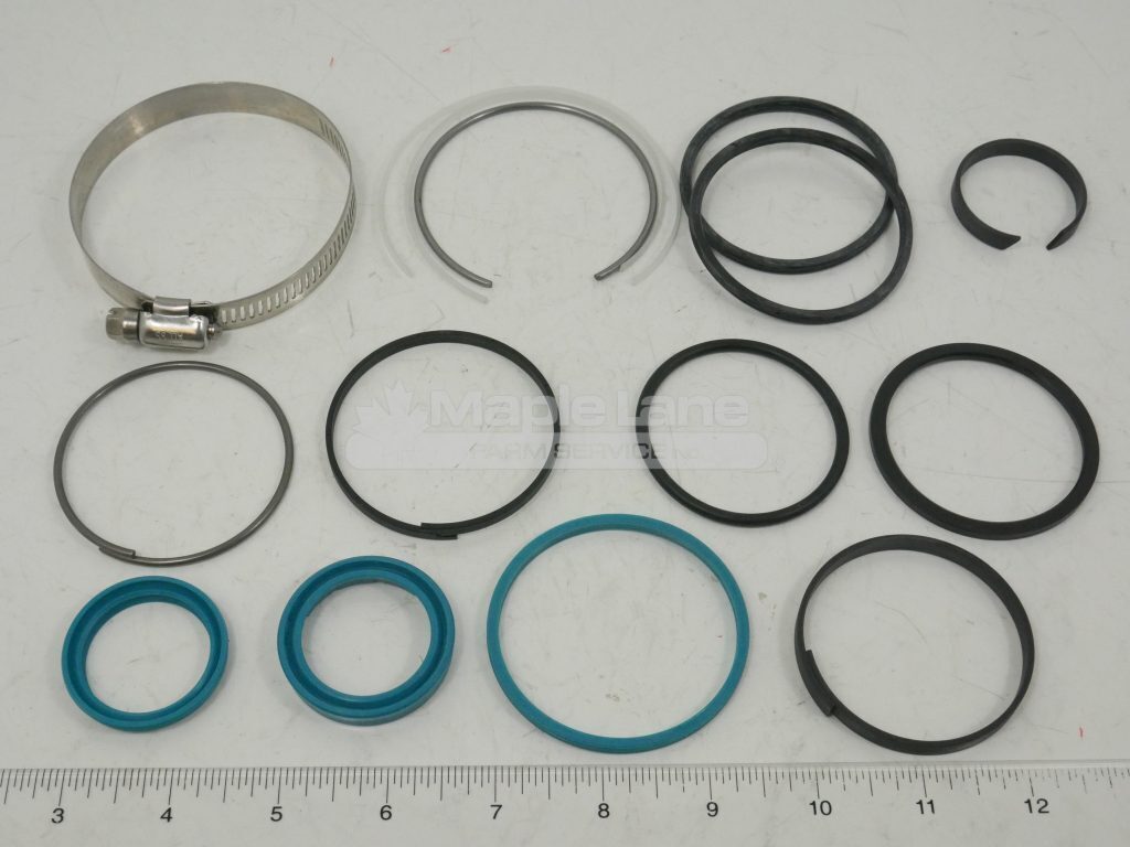 700748099 Seal Kit