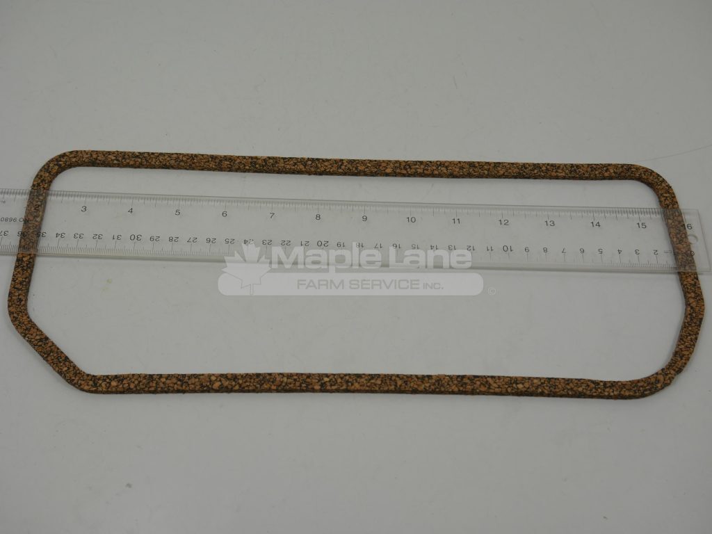 731273V1 Gasket