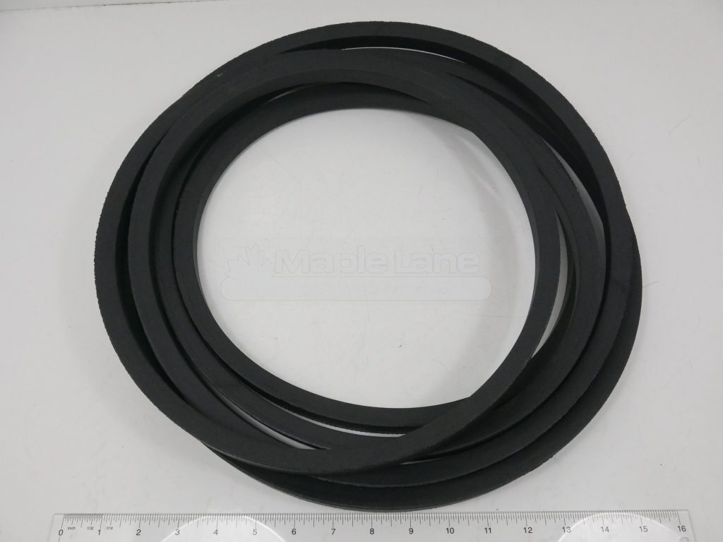 832866V2 Belt