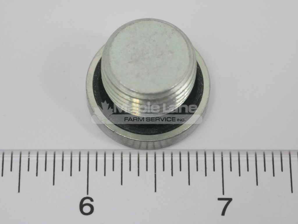72476896 Plug Screw