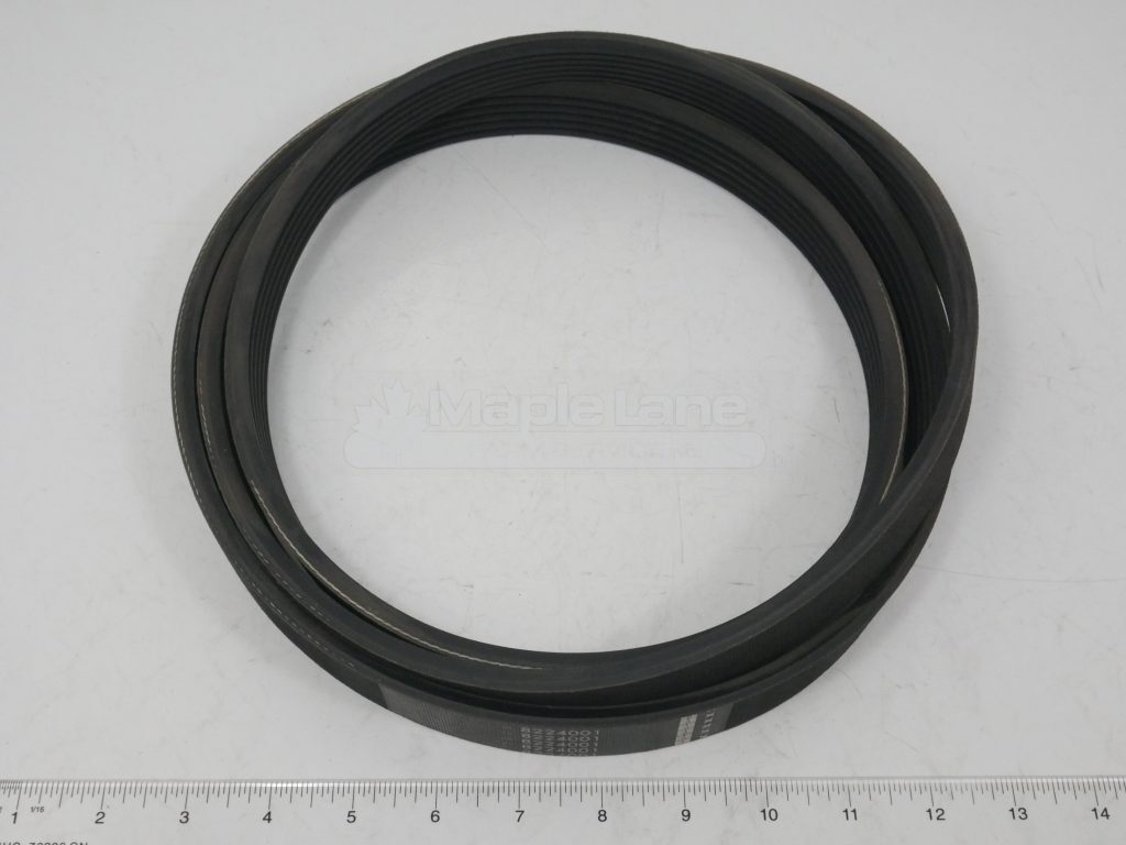 8224001 Long Belt