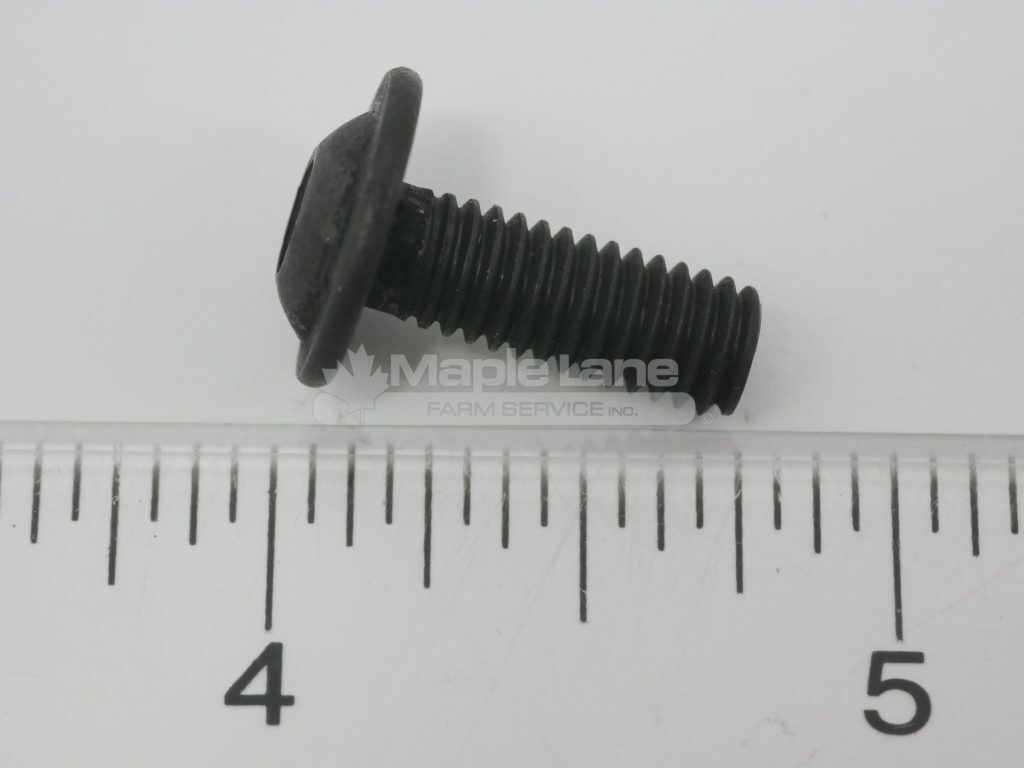 72617968 Screw