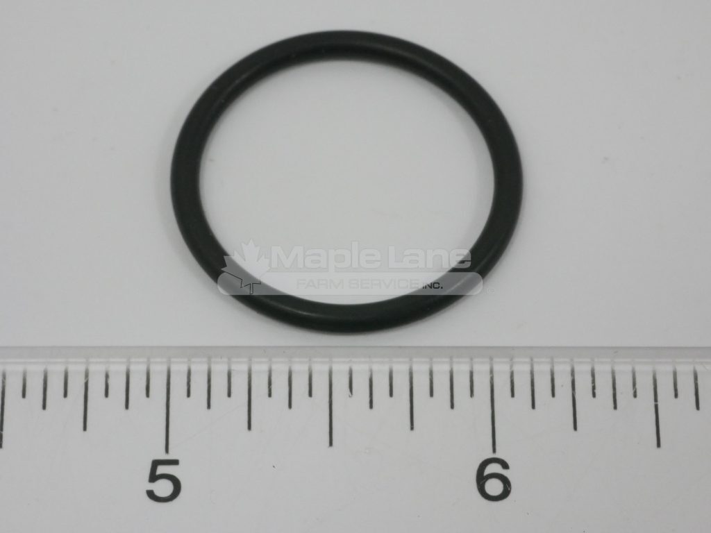 72313449 O-Ring