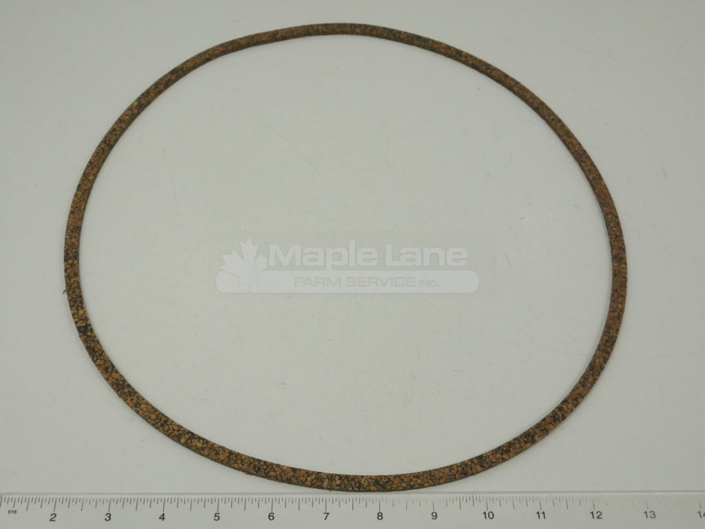 516389M2 Gasket