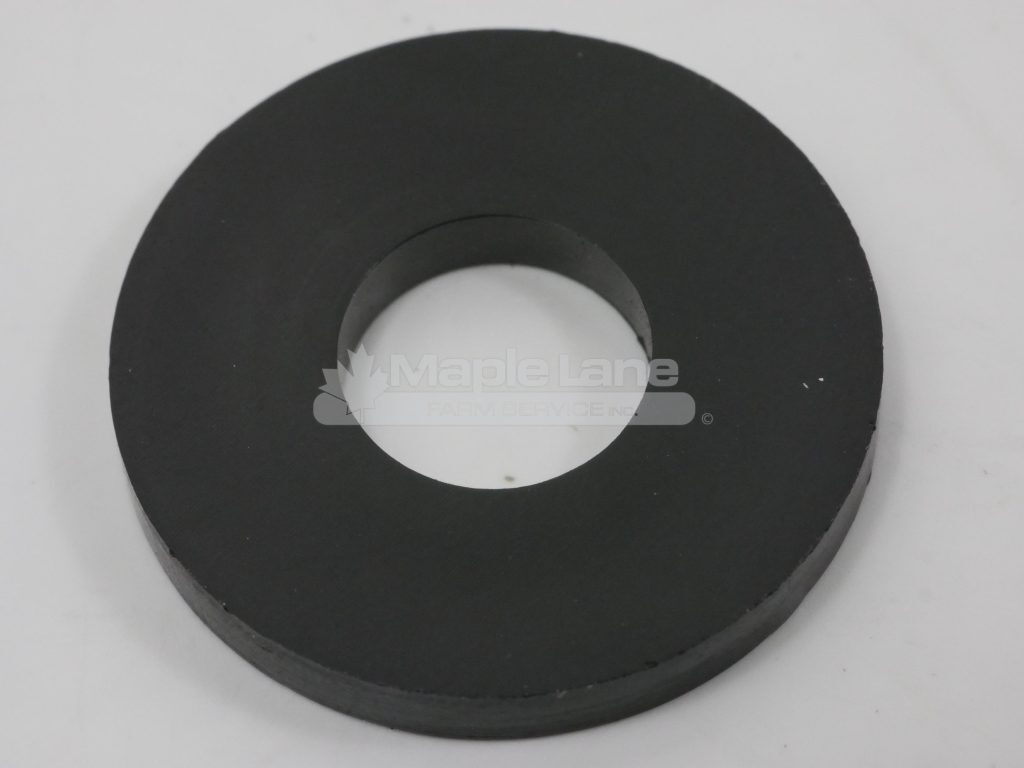500624D1 Nylon Washer M10