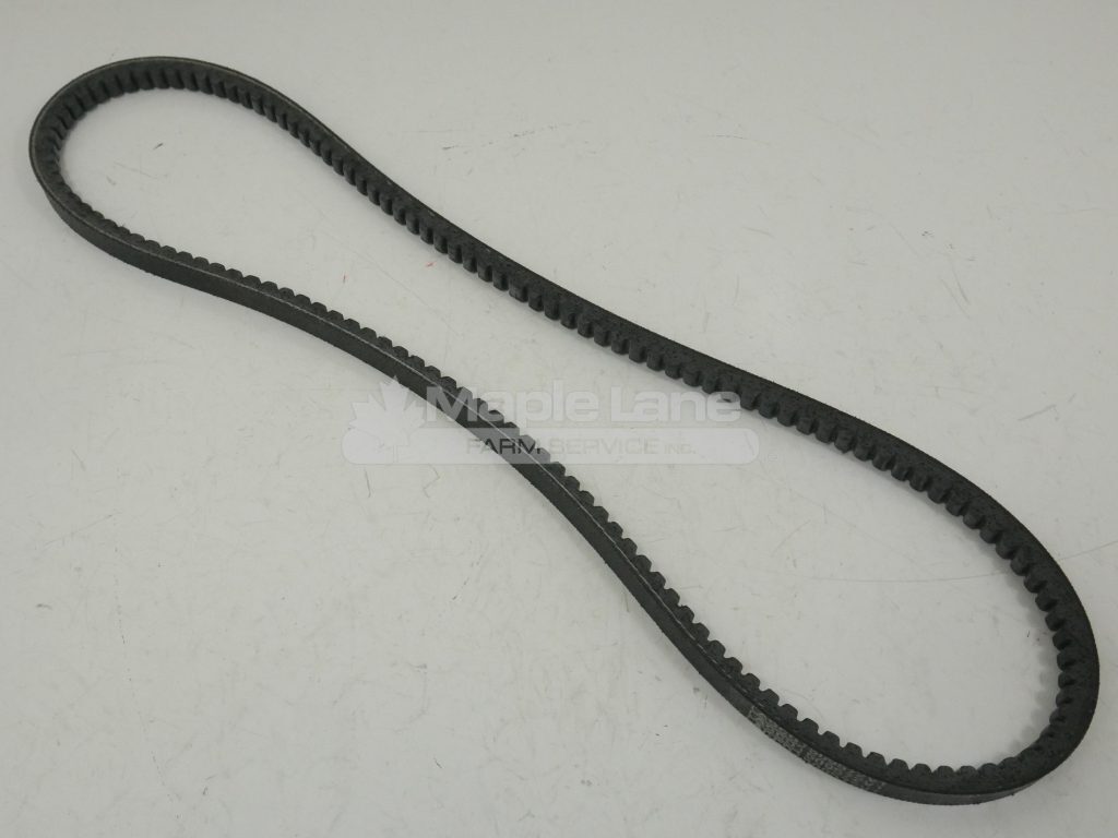 509572V1 Belt