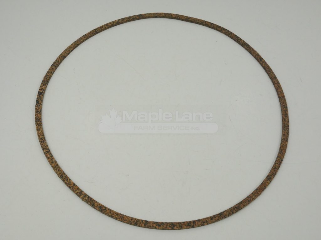 516389M2 Gasket