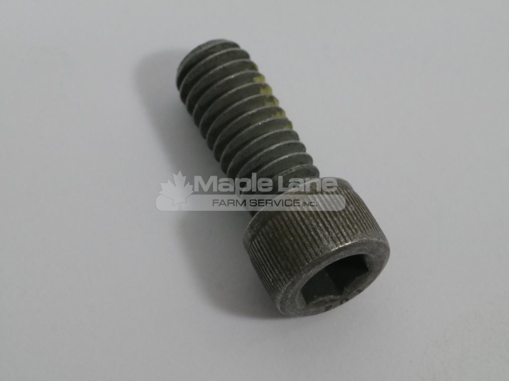 526893 Screw
