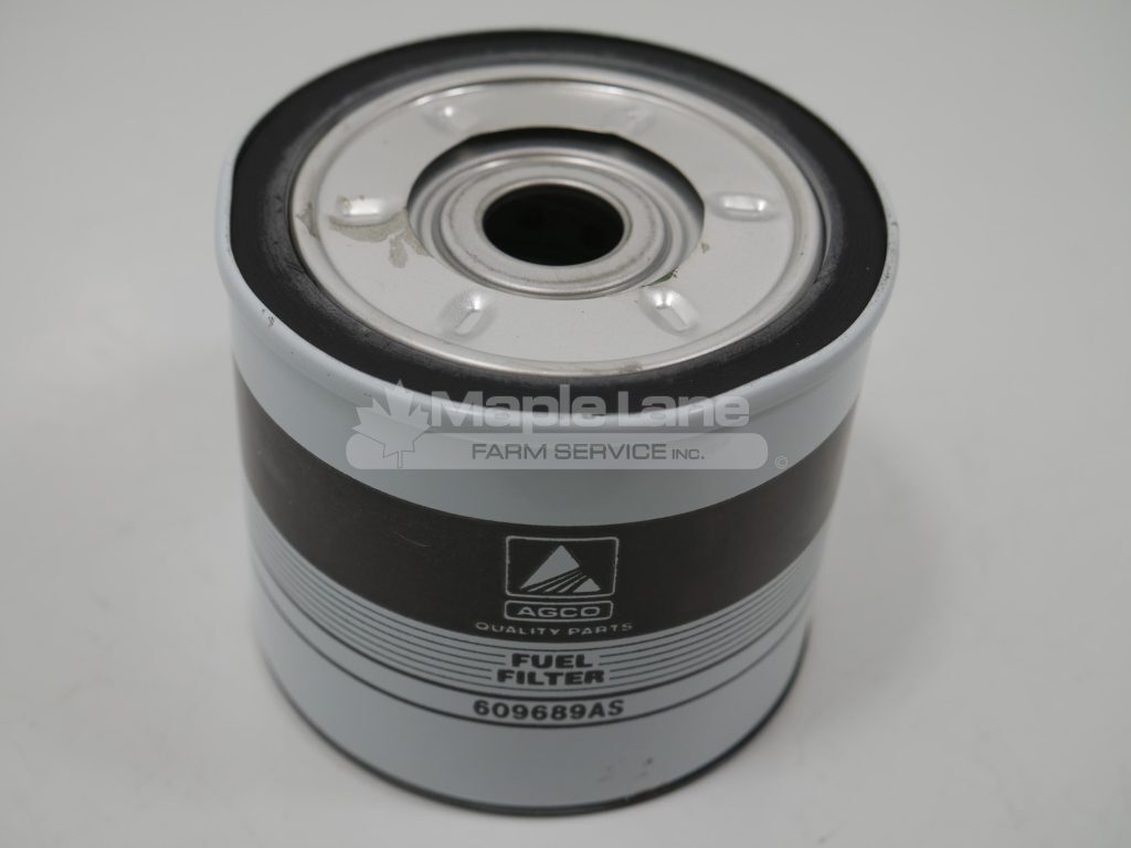 609689ASV CAV Filter