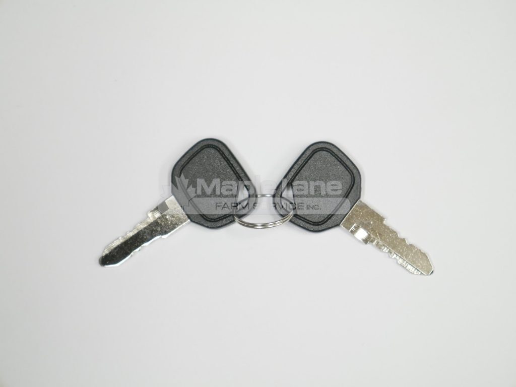 6241882M1 Set Of Two Keys