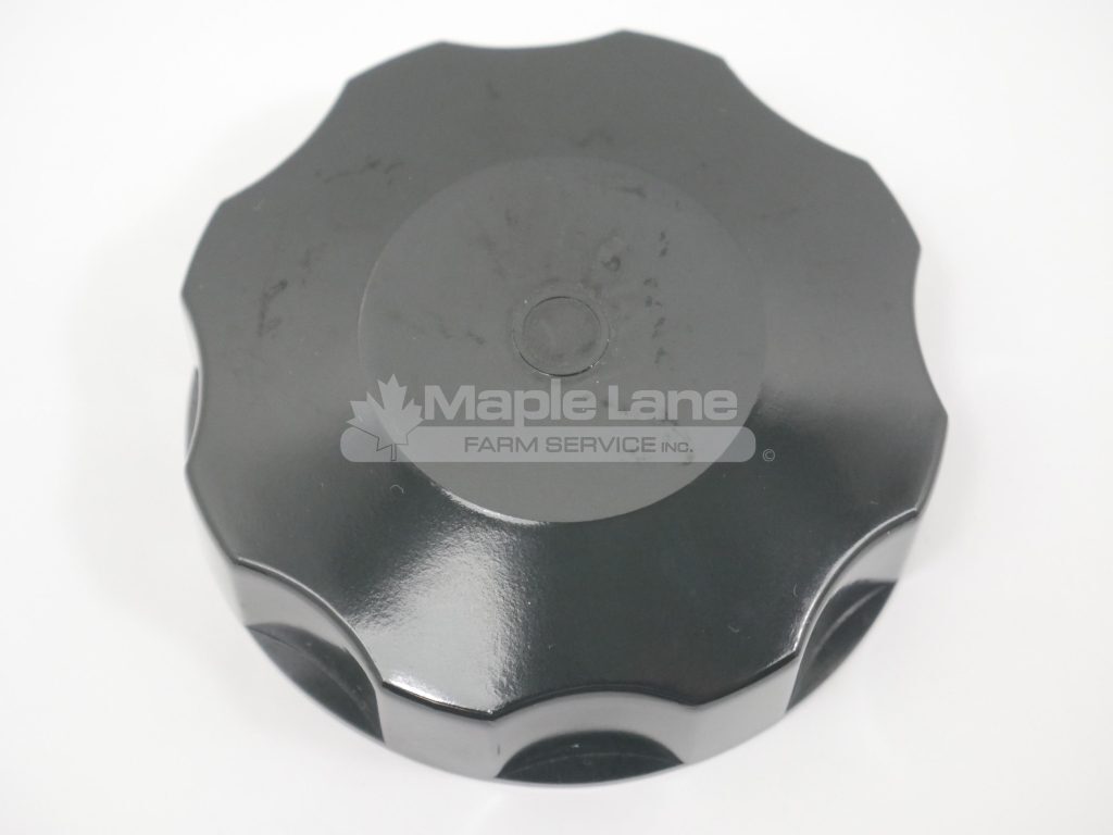 6242598M93 Fuel Tank Cap