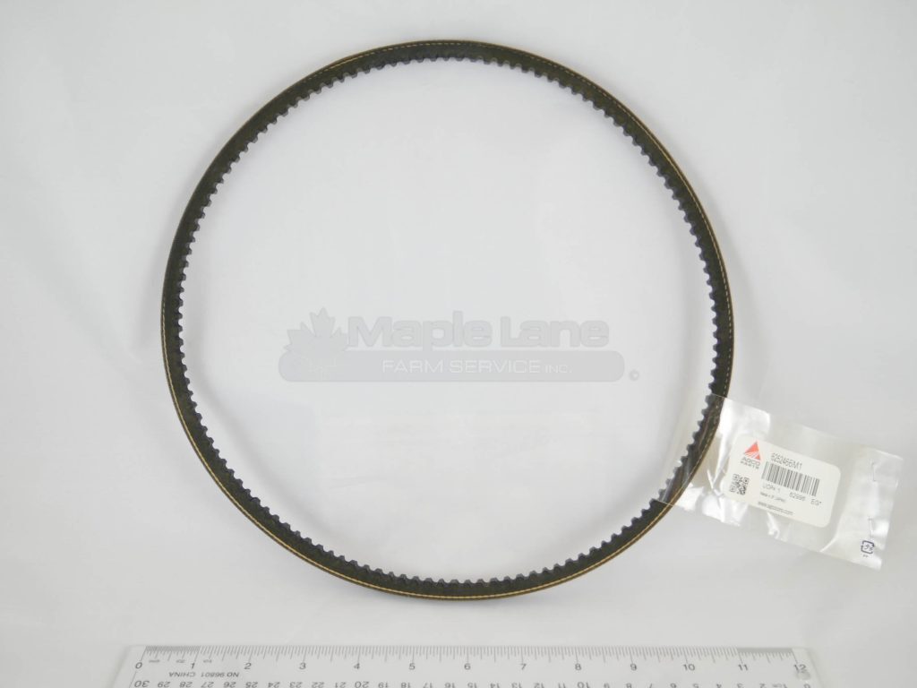 6252466M1 Belt