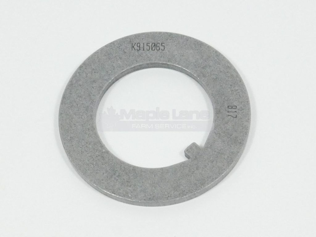 700706125 Tongued Washer