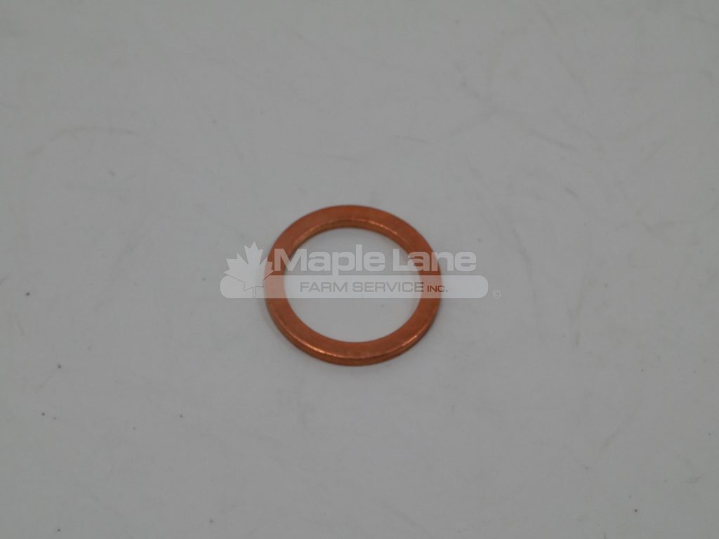 700712393 Plated Washer