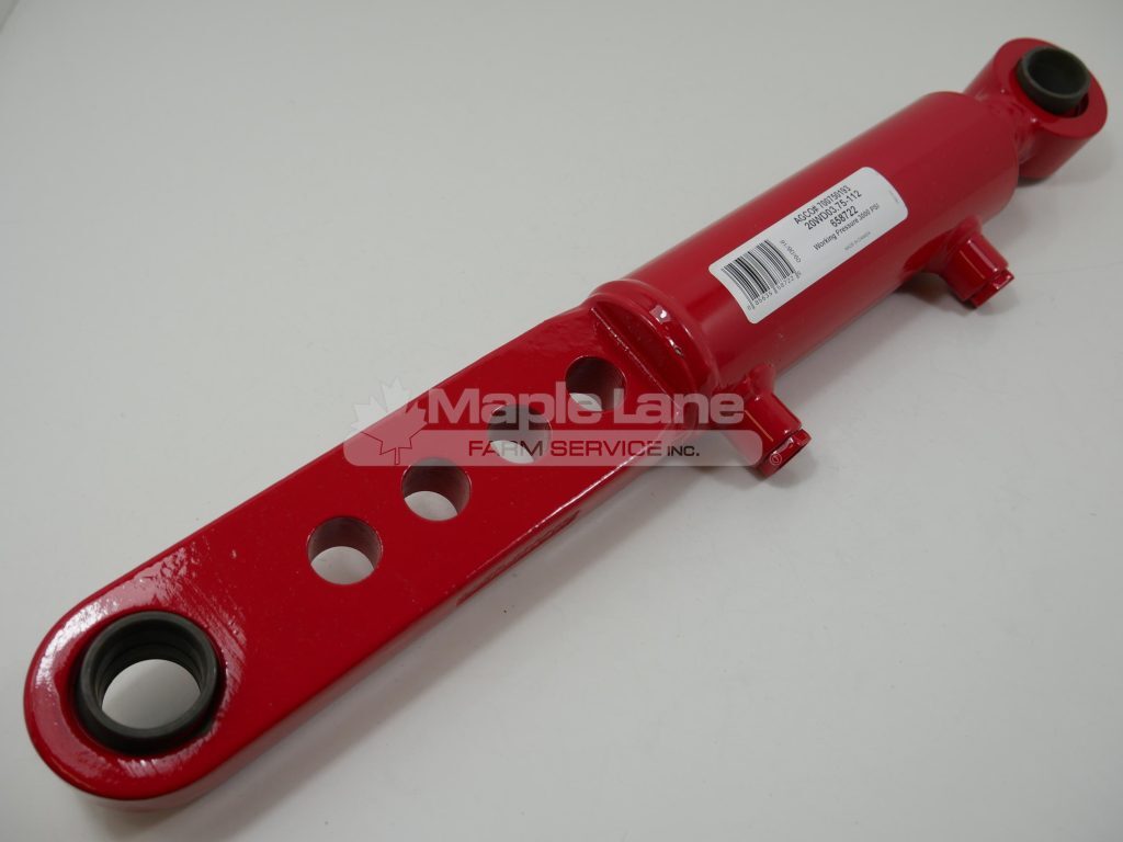 700750193 Tilt Cylinder