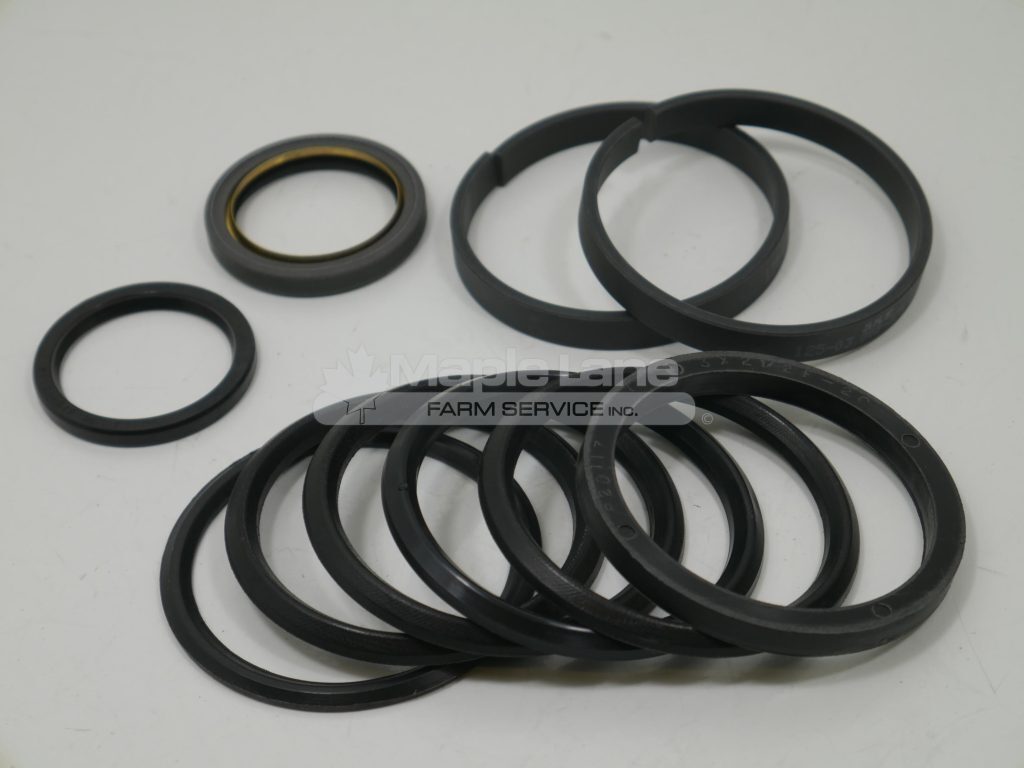 70255805 Hydraulic Seal Kit