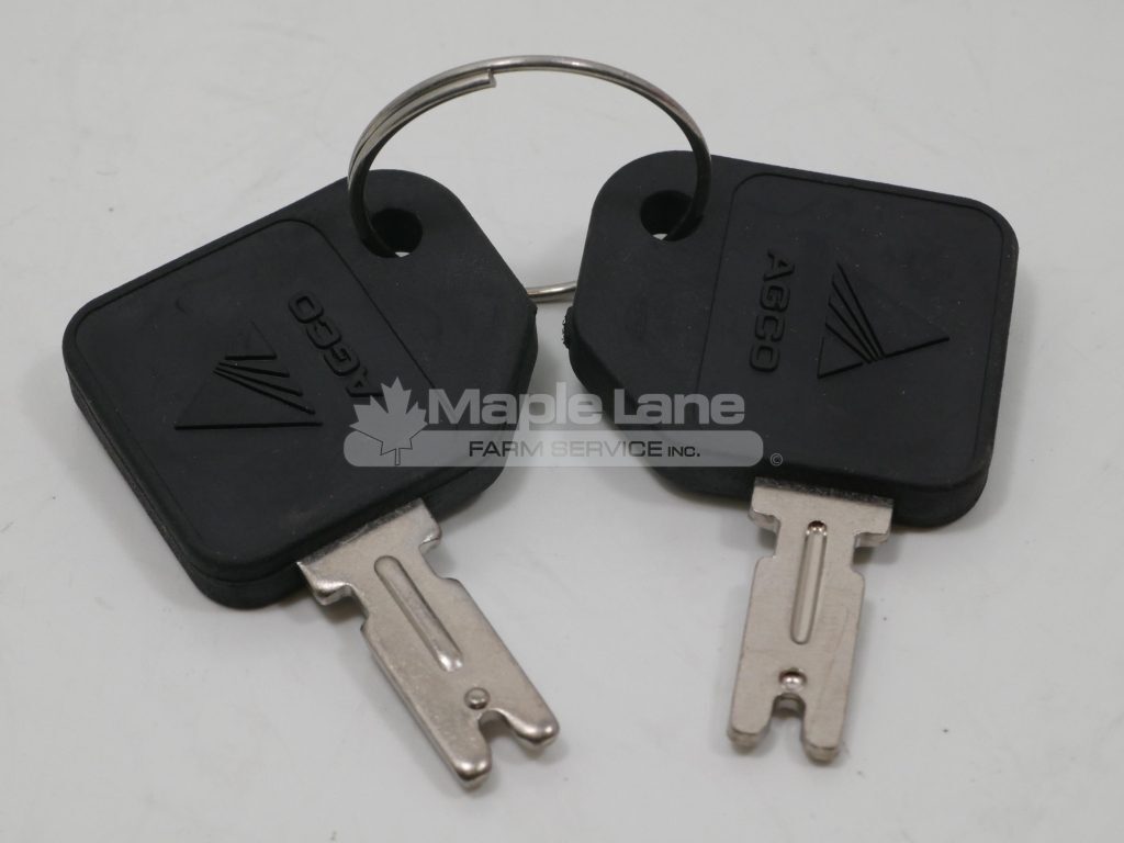 71377109 Two Ignition Keys