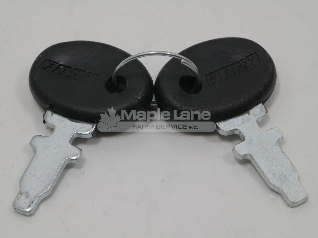 72090051V Two Keys