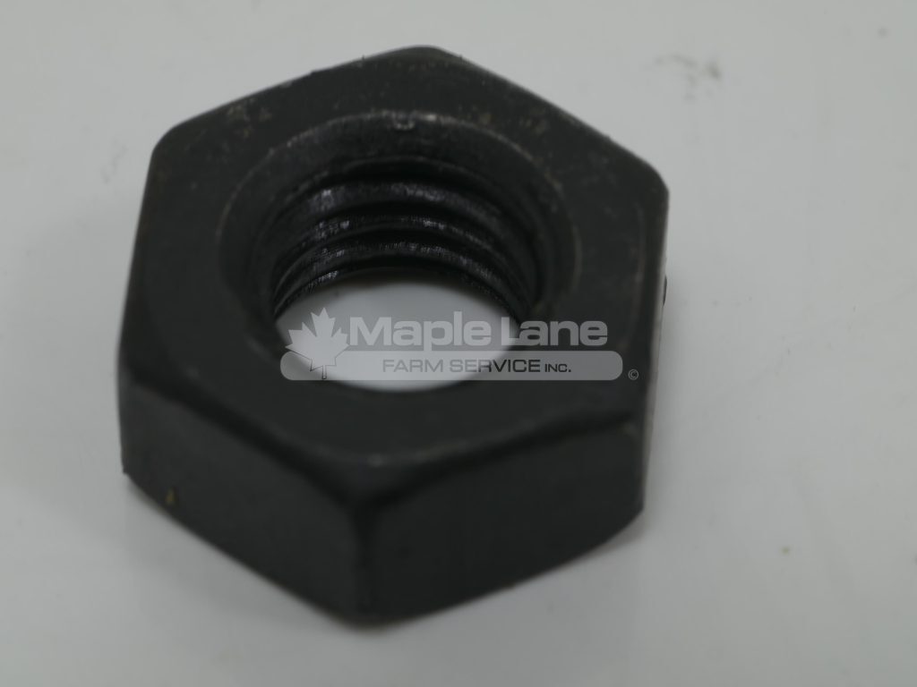 72372810 Nut M10-10 DIN 934
