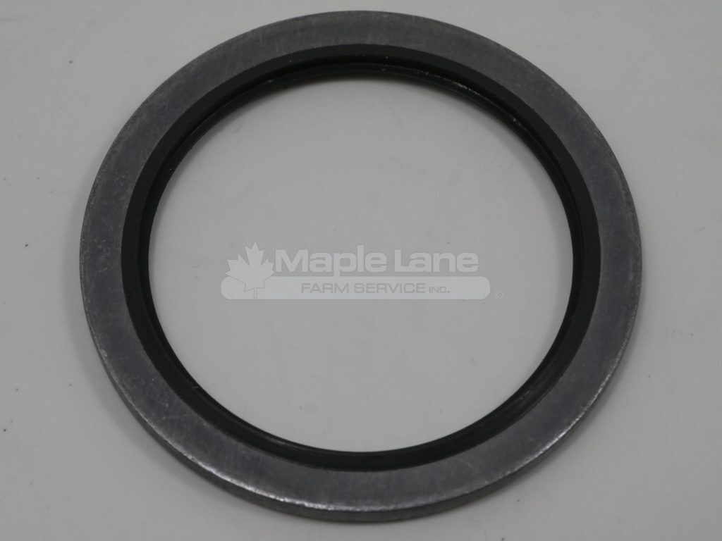 72417074 Sealing Washer