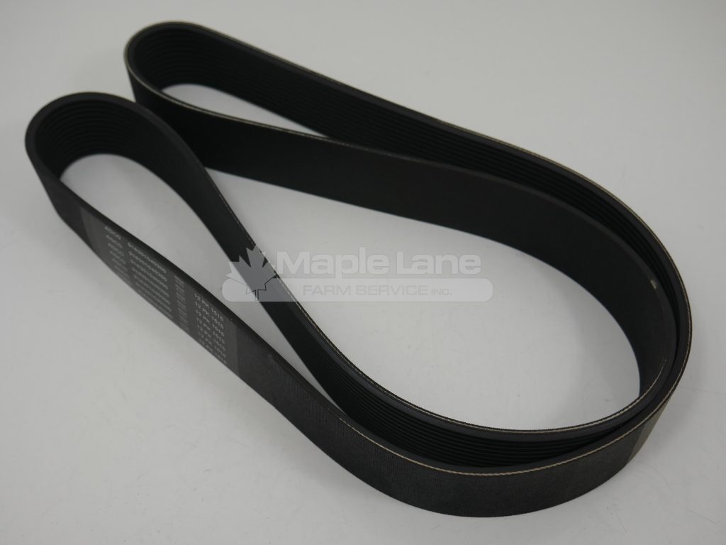 72419906 Belt