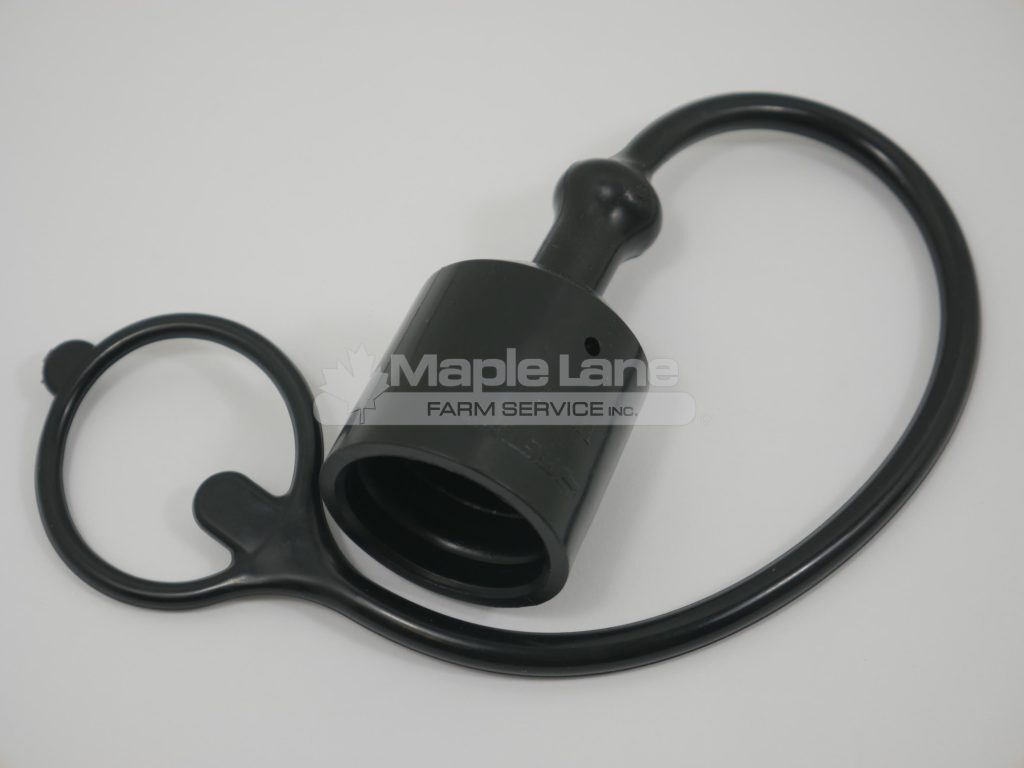 72422821 Black Dust Cap